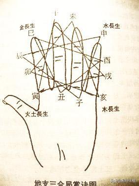 地支三合（详解）