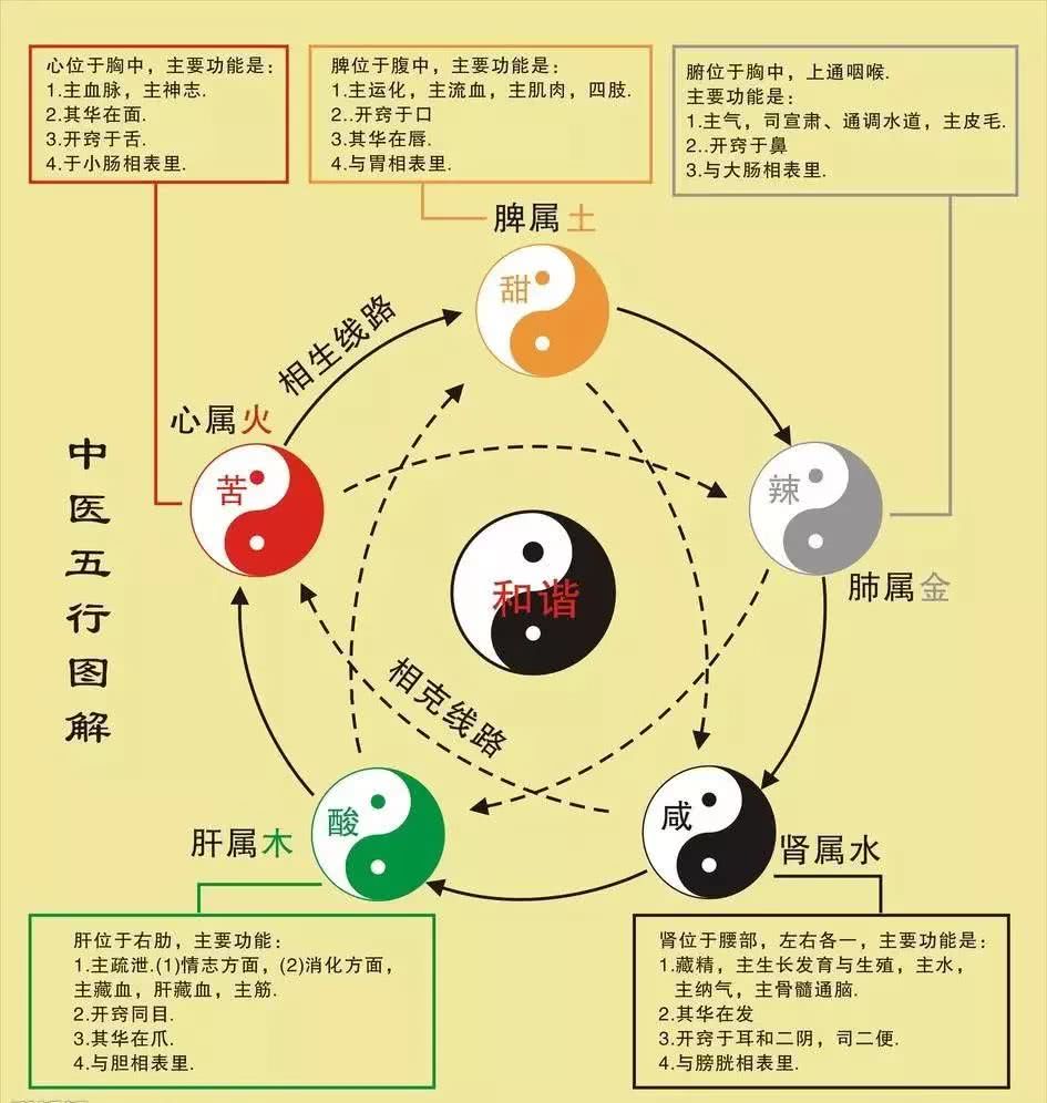 排五行八字，八字排盘分析