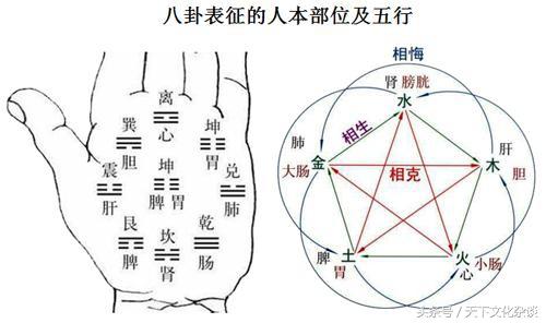 老祖宗的大智慧：最全《易经八卦图解》——通俗易懂，值得珍藏！