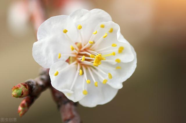 天蝎座缺点