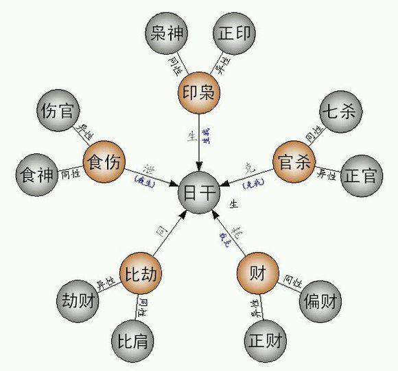 八字如何标十神