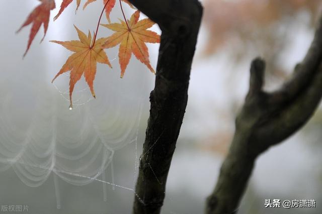 水瓶座和天秤