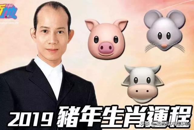 属牛人今天运势如何6月6日2022