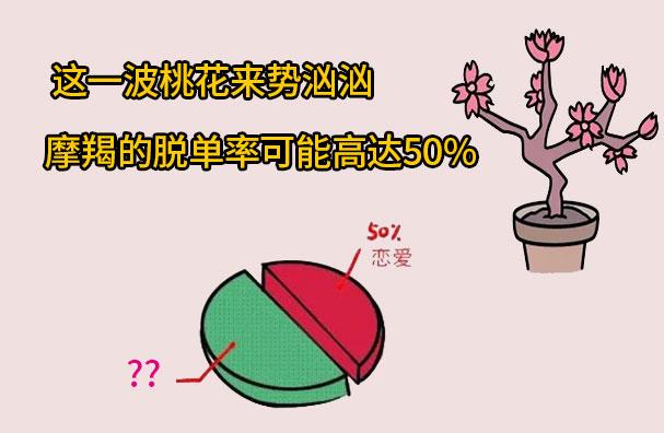 摩羯座月份