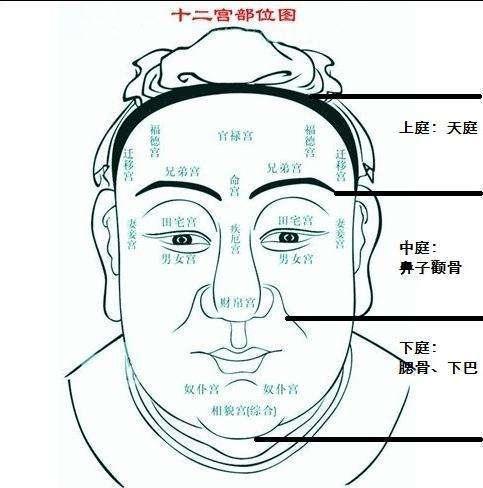 人中深长的男人中年运势如何