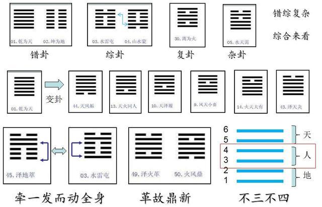 如何用周易方圆图算命