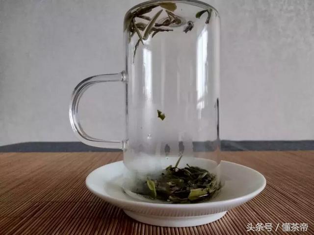 如何茶叶占卜