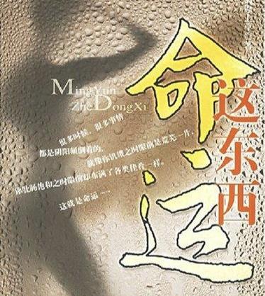 甲午的男宝命运如何