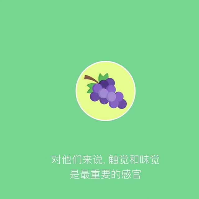 金牛座的爱情观是什么