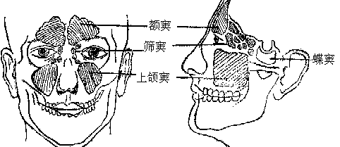 印堂凹陷运势如何