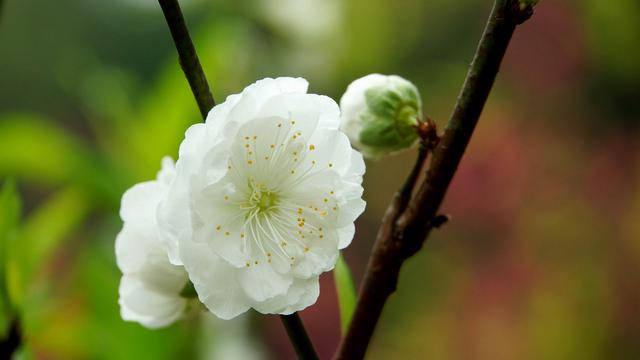 天蝎座11月10日