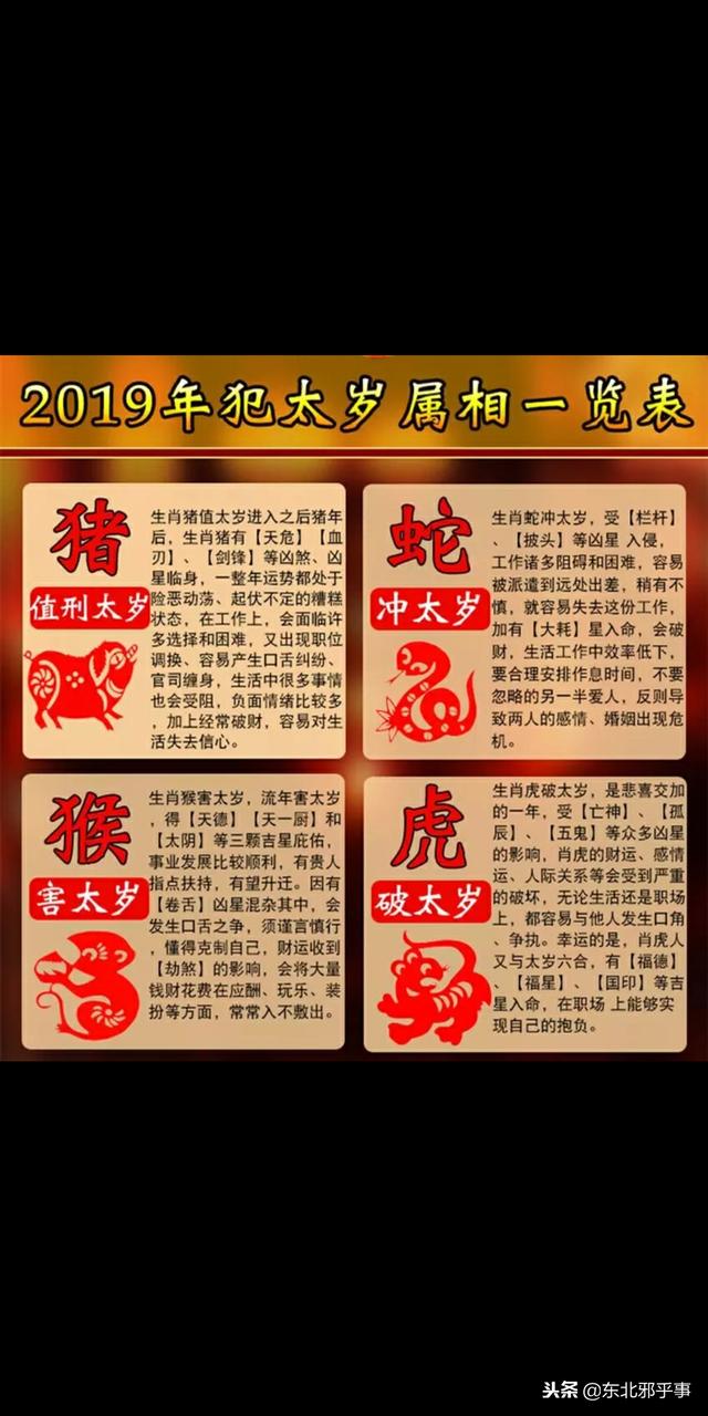 属猪和属虎的今年运势如何