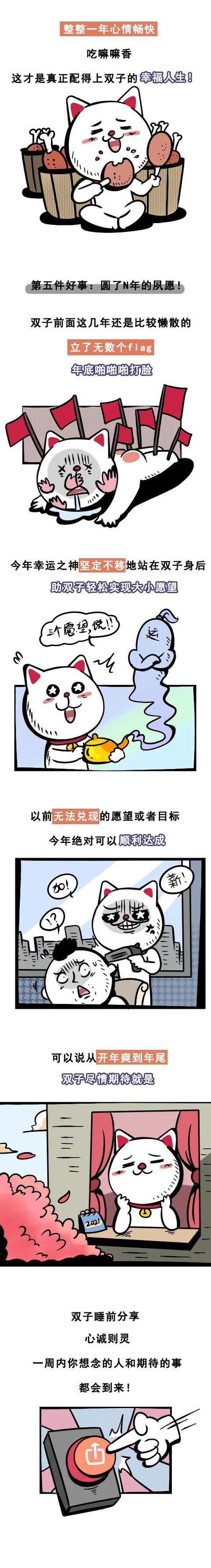 关于双子座的事情