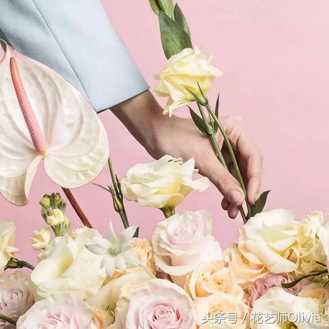 狮子座的花