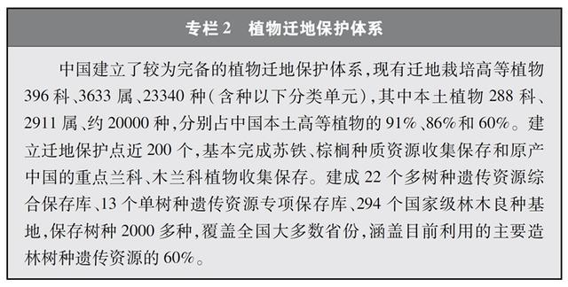 1999年9月初9命运如何