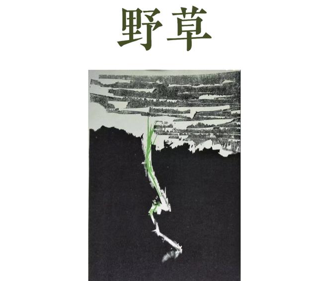 1991年农历2月初七命运如何