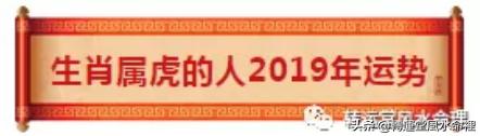 虎宝宝在2018年运势如何