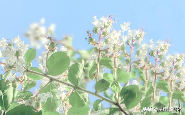 天秤座分手回头率