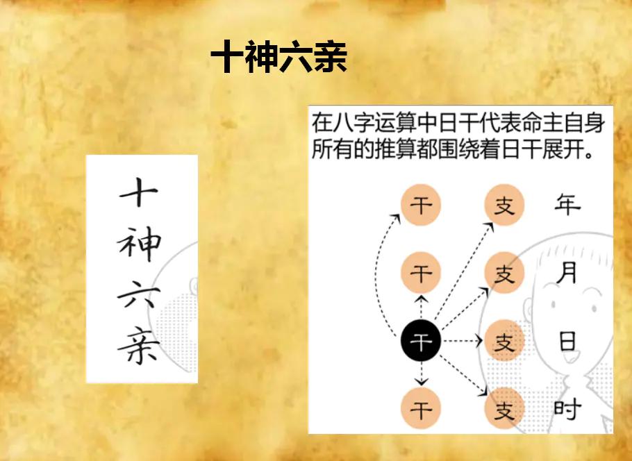 八字如何看四柱