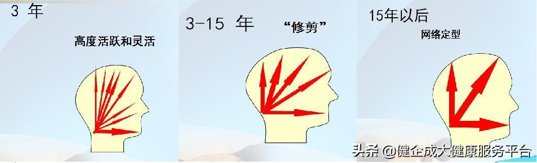 如何从四柱八字找到天赋