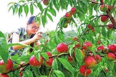 属蛇9月份运势如何