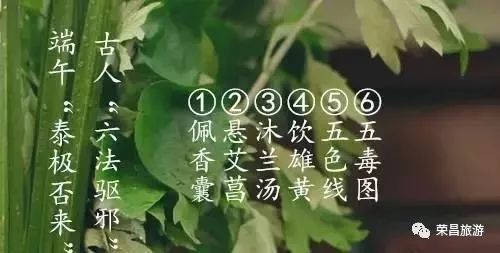 五月初一生日的人命运如何