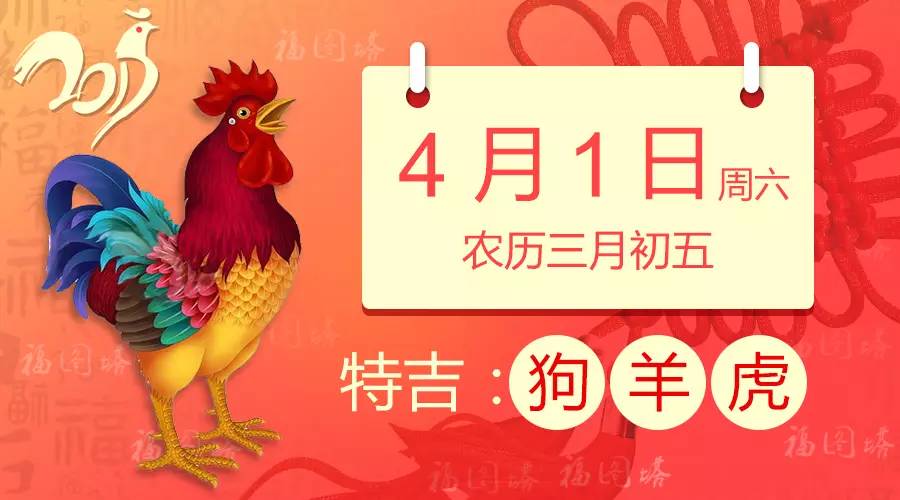 农历4月的鼠命运如何