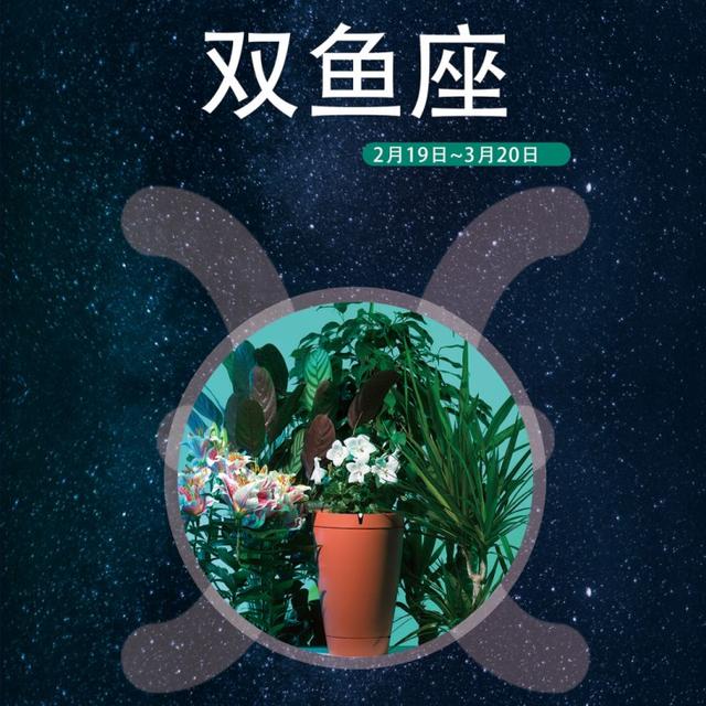 白羊座男生喜欢礼物