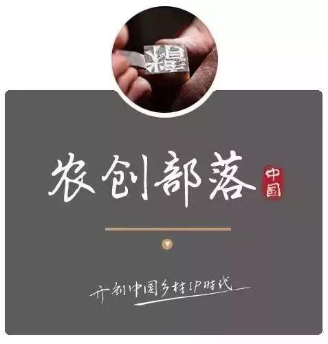 八字植草砖如何搭配好看