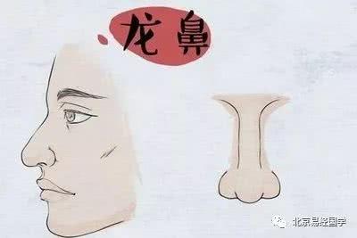 龙鼻的命运如何