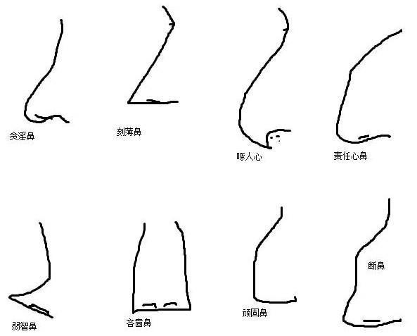 腰长腿短的人命运如何