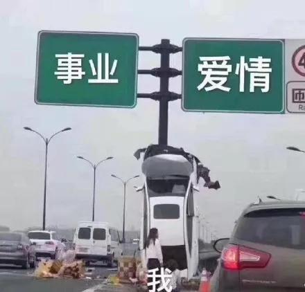 狮子座跟金牛座女配吗