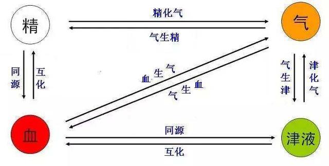 女命八字二阴六阳