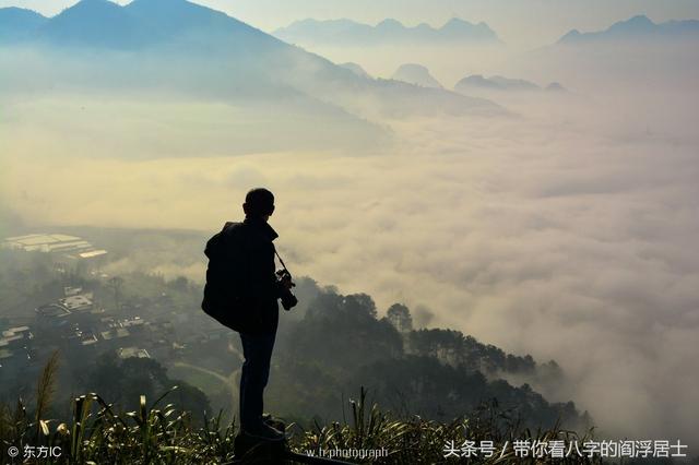 女命八字食伤是什么意思