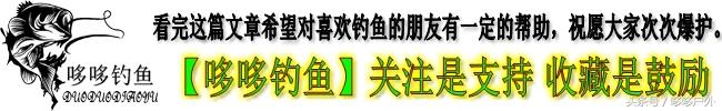 八字环如何系