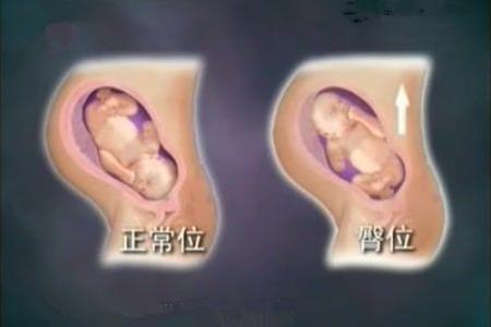 算命五斤八两女命