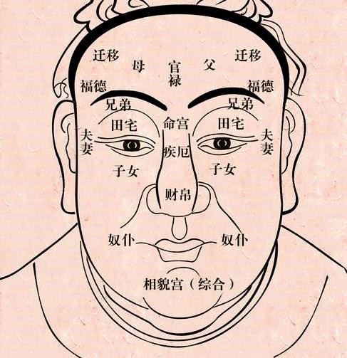 鼻子扁的人的命运如何