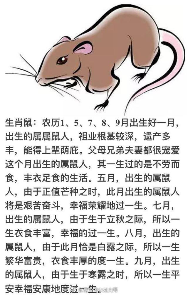 属龙出生几月命运如何