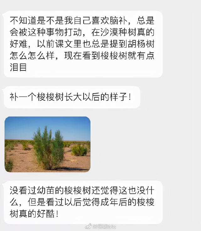 不要做长大的命运如何