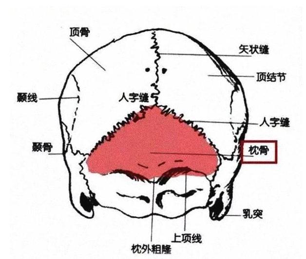 额头扁平的人运势如何