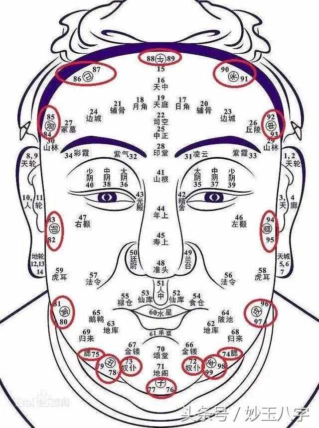 帮我看下运势如何的简单介绍