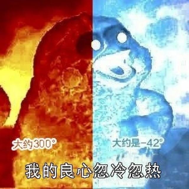 水瓶座双子座