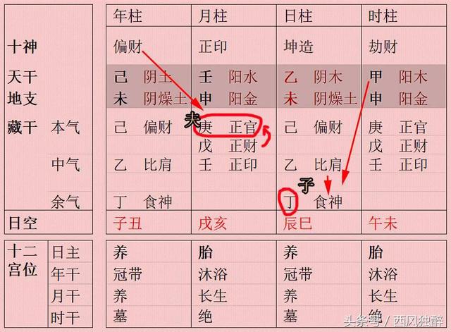 女命八字带养