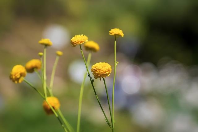 2021年5月运势如何