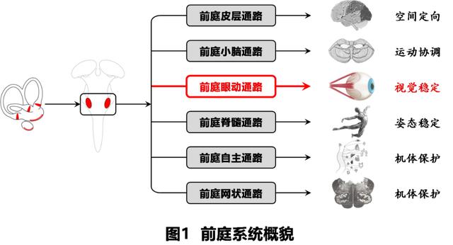 如何判读四柱八字