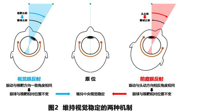 如何判读四柱八字