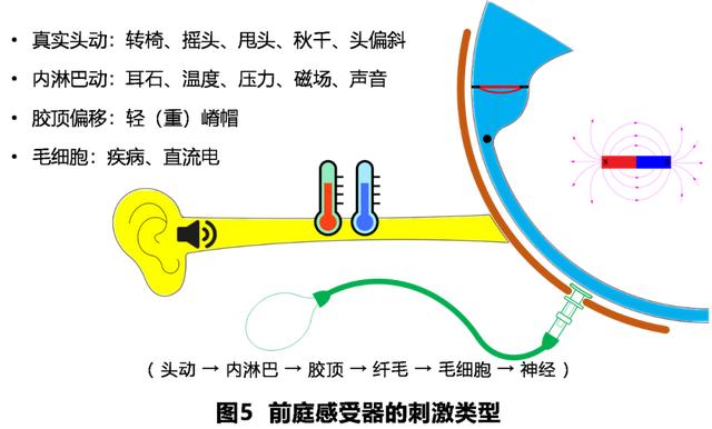 如何判读四柱八字