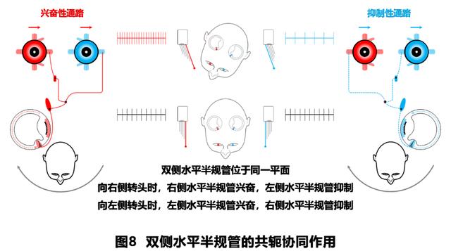 如何判读四柱八字