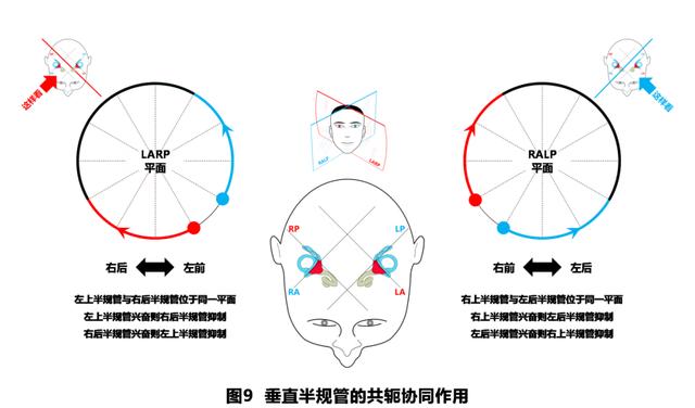 如何判读四柱八字