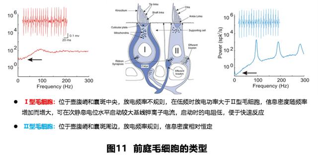 如何判读四柱八字